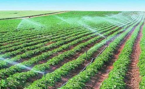 草b在线播放农田高 效节水灌溉